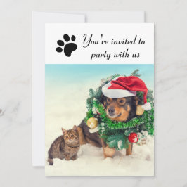 Party mit uns Hund & Katze - Feierabend Einladung