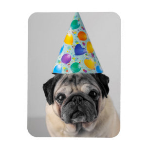 Party Mops Magnet