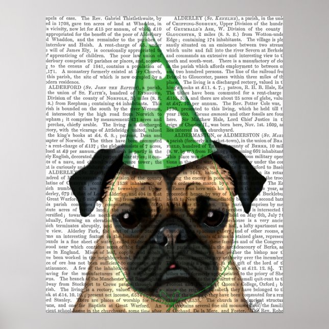 Party Mops Poster (Vorne)