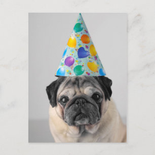 Party Mops Postkarte