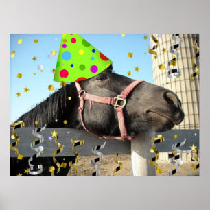 Party Poster