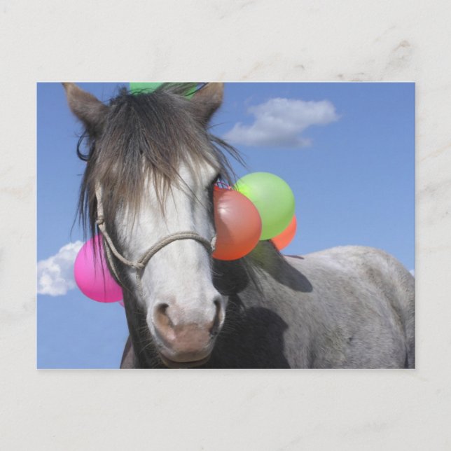 Party Postkarte (Vorderseite)