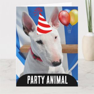 PARTY TIERHUND FUNNY BIRTHDAY CARD KARTE