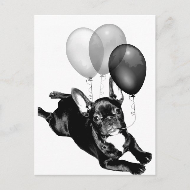 Party Zeit Französische Bulldog-Postkarte Postkarte (Vorderseite)