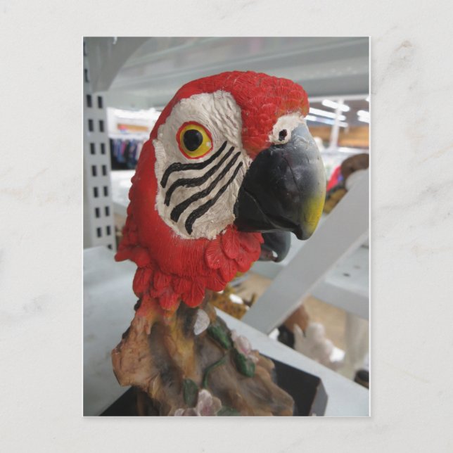 Partyleiter Postkarte (Vorderseite)