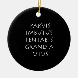 Parvis imbutus tentabis grandia tutus keramik ornament