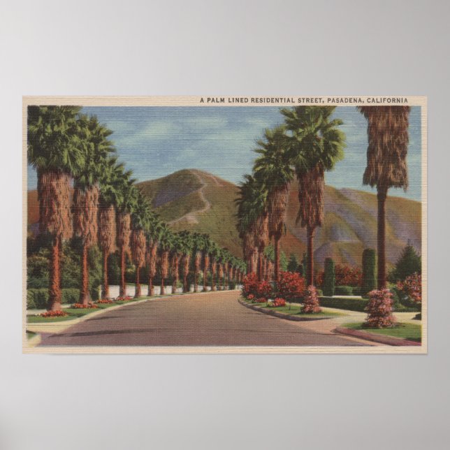 Pasadena, CA - Residental Street Scene & Palms Poster (Vorne)