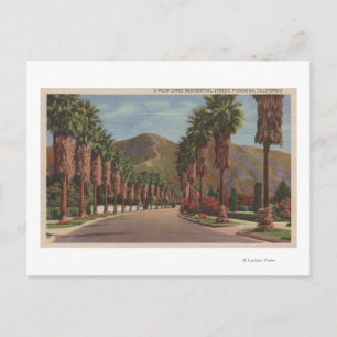 Pasadena, CA - Residental Street Scene & Palms Postkarte