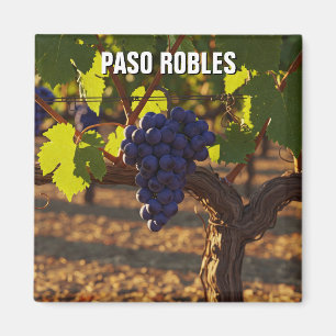Paso Robles California Central Coast Magnet