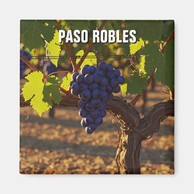 Paso Robles California Central Coast Magnet (Vorne)