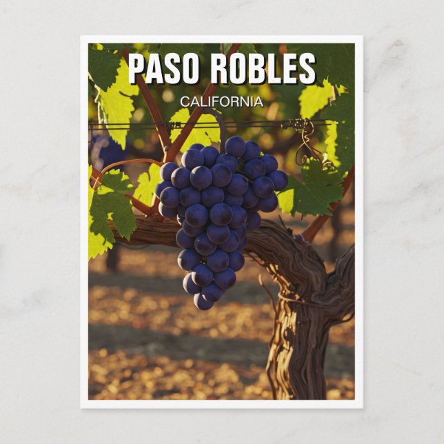 Paso Robles - Zentralküste Kaliforniens Postkarte (Vorderseite)