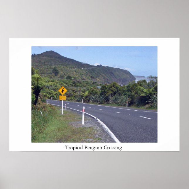 Pass auf Pinguine auf Poster (Vorne)