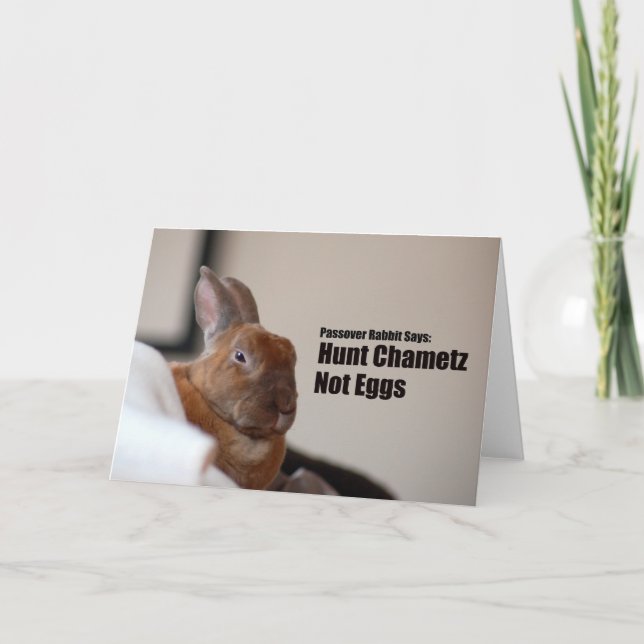 Passahfest-Kaninchen sagt: Karte (Vorderseite)