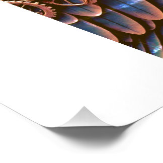 PASSÁRO GUARDIÃO POSTER