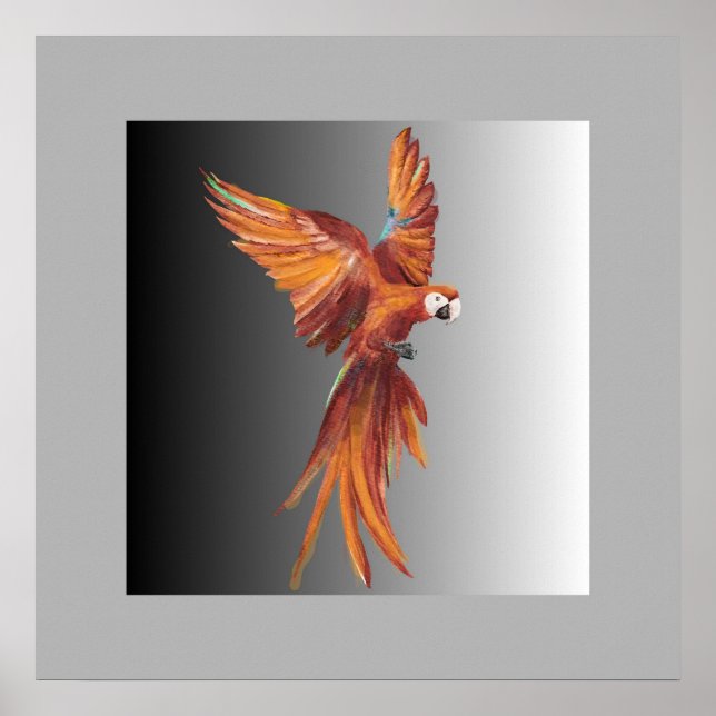 Pássaro Vermelho Poster (Vorne)