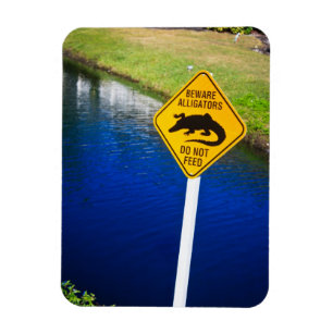 Passen Sie Alligatoren füttern nicht auf Magnet