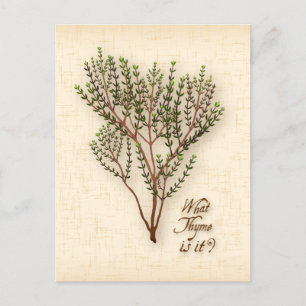 Passen Sie an, was sie sind? Postkarte