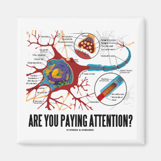 Passen Sie auf? (Neuron Synapse Spaß) Magnet