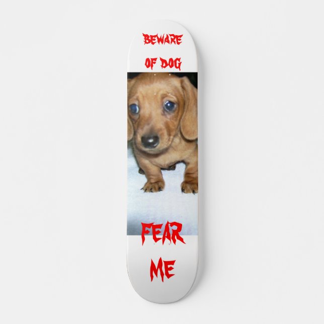 passen Sie vom Hund auf Skateboard (Vorne)