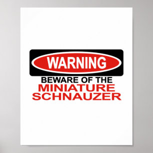 Passen Sie vom Zwergschnauzer auf Poster