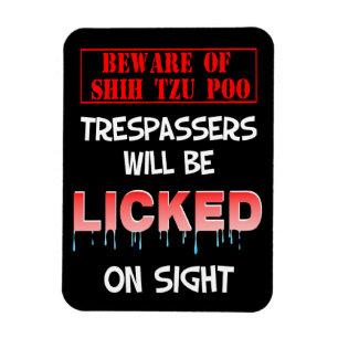 "Passen Sie von Shih Tzu Poo" Magnet auf
