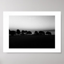 Passende Bäume Kanada Schwarz-Weiß-Fotografie Poster