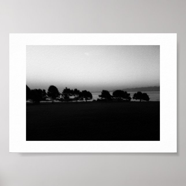 Passende Bäume Kanada Schwarz-Weiß-Fotografie Poster (Vorne)