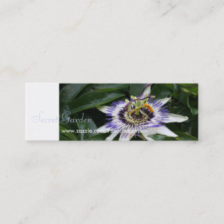 Passiflora 1 Floral Fotografie Mini Business Crad Visitenkarte