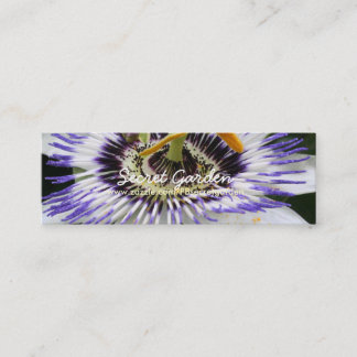 Passiflora 3 Blumenfotografie Mini Visitenkarte