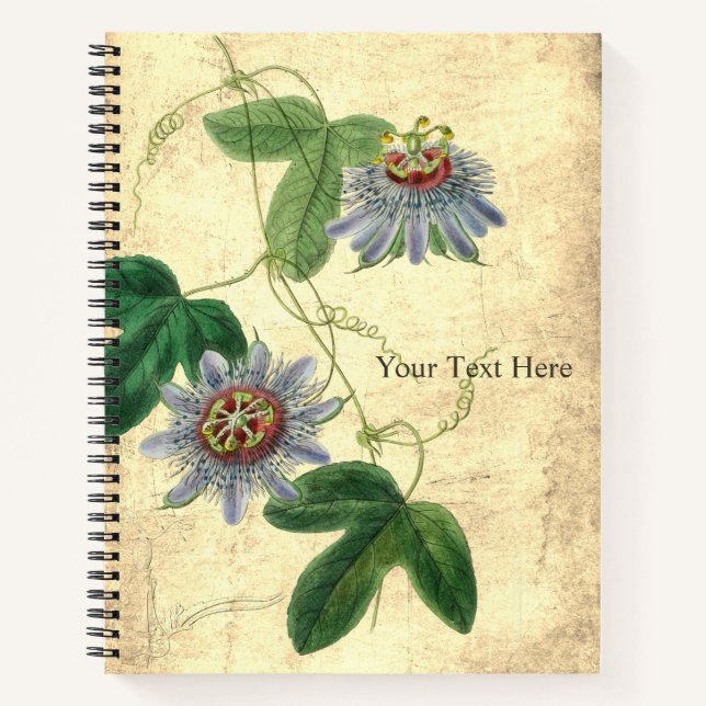 Passiflora Amethystina-Notebook Notizbuch (Vorderseite)