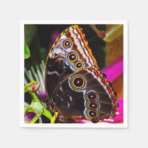 Passiflora VIOLACEA und Blauer Morpho-Schmetterlin Serviette