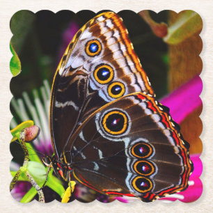 Passiflora VIOLACEA und Blauer Morpho-Schmetterlin Untersetzer