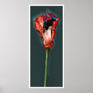 Passion-Blume #5 Poster