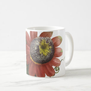 Passion Blume (Passiflora alata) von Redouté Kaffeetasse