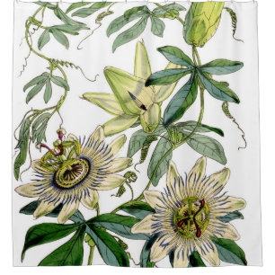 Passion Blume Vintag Print Duschvorhang