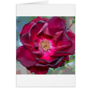 Passion Burgandy Blume