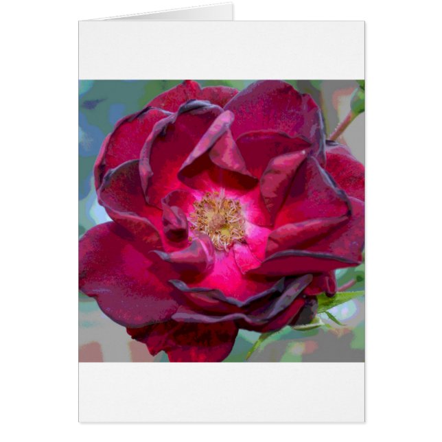 Passion Burgandy Blume (Vorne)