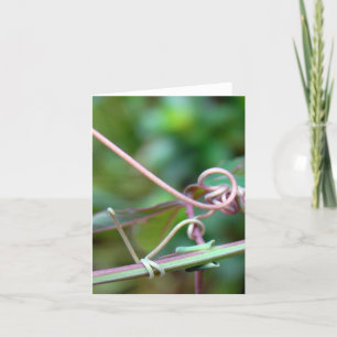 Passion Vine ~ Warum Knoten?! Karte