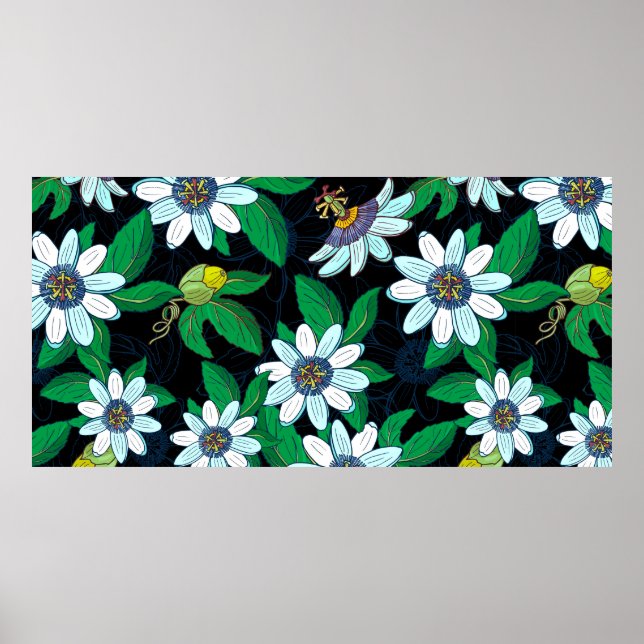 Passionblume, Passiflora auf schwarzem Hintergrund Poster (Vorne)
