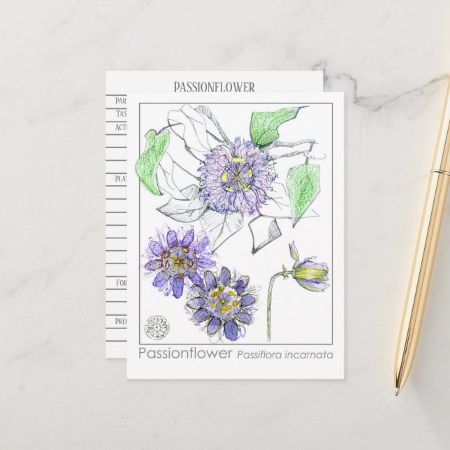 Passionflower Materia Medica Kräuterstudie Postkarte (Vorderseite/Rückseite Beispiel)