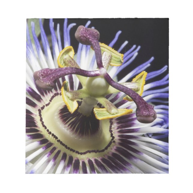 Passionflower nah-up (MR) Notizblock (Vorderseite)