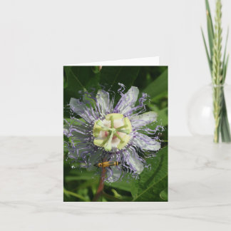 Passionflower-Note-Karte Karte