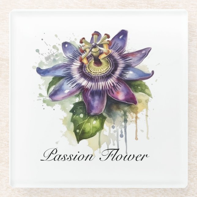 Passionierte Lila Passion-Blume Glasuntersetzer (Vorderseite)