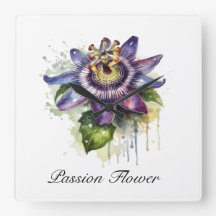 Passionierte Lila Passion-Blume