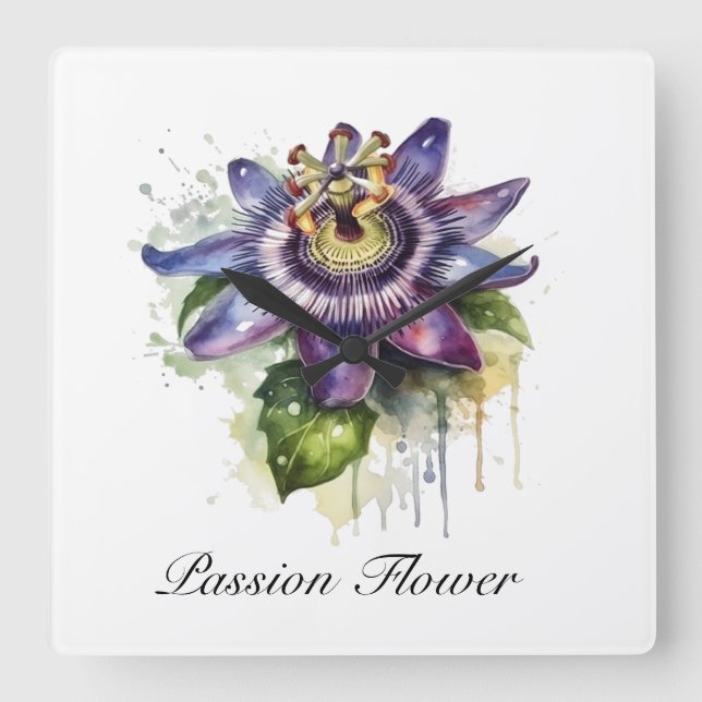 Passionierte Lila Passion-Blume Quadratische Wanduhr (Vorderseite)