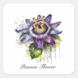 Passionierte Lila Passion-Blume Quadratischer Aufkleber