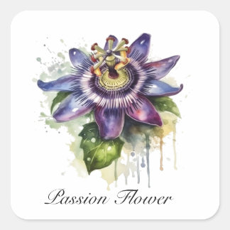 Passionierte Lila Passion-Blume Quadratischer Aufkleber