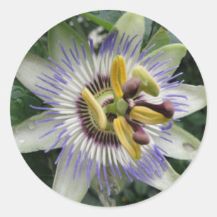 Passionsaufkleber für Blume Runder Aufkleber