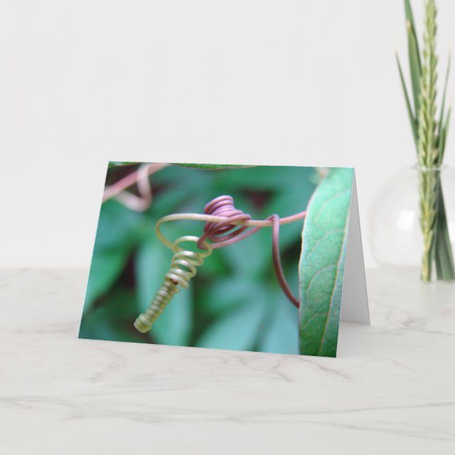 Passionsblume Karte (Vorderseite)