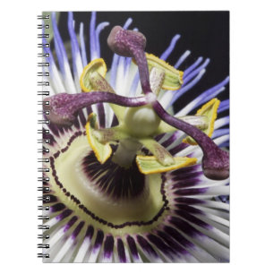 Passionsblume Nahaufnahme (MR) Notizblock